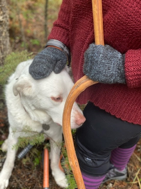 Montana Fibershed Knit-A-Long!