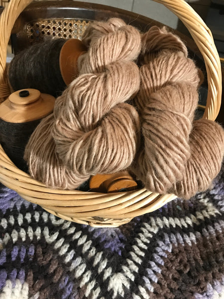 From Back Yard to Dye Pots